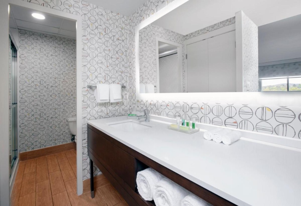 Holiday Inn Binghamton-Downtown Hawley Street Image 16