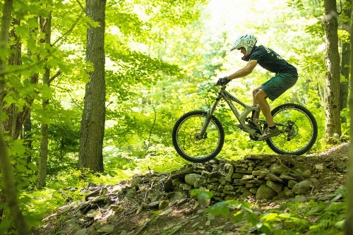 Holiday Inn Binghamton-Downtown Hawley Street image 4